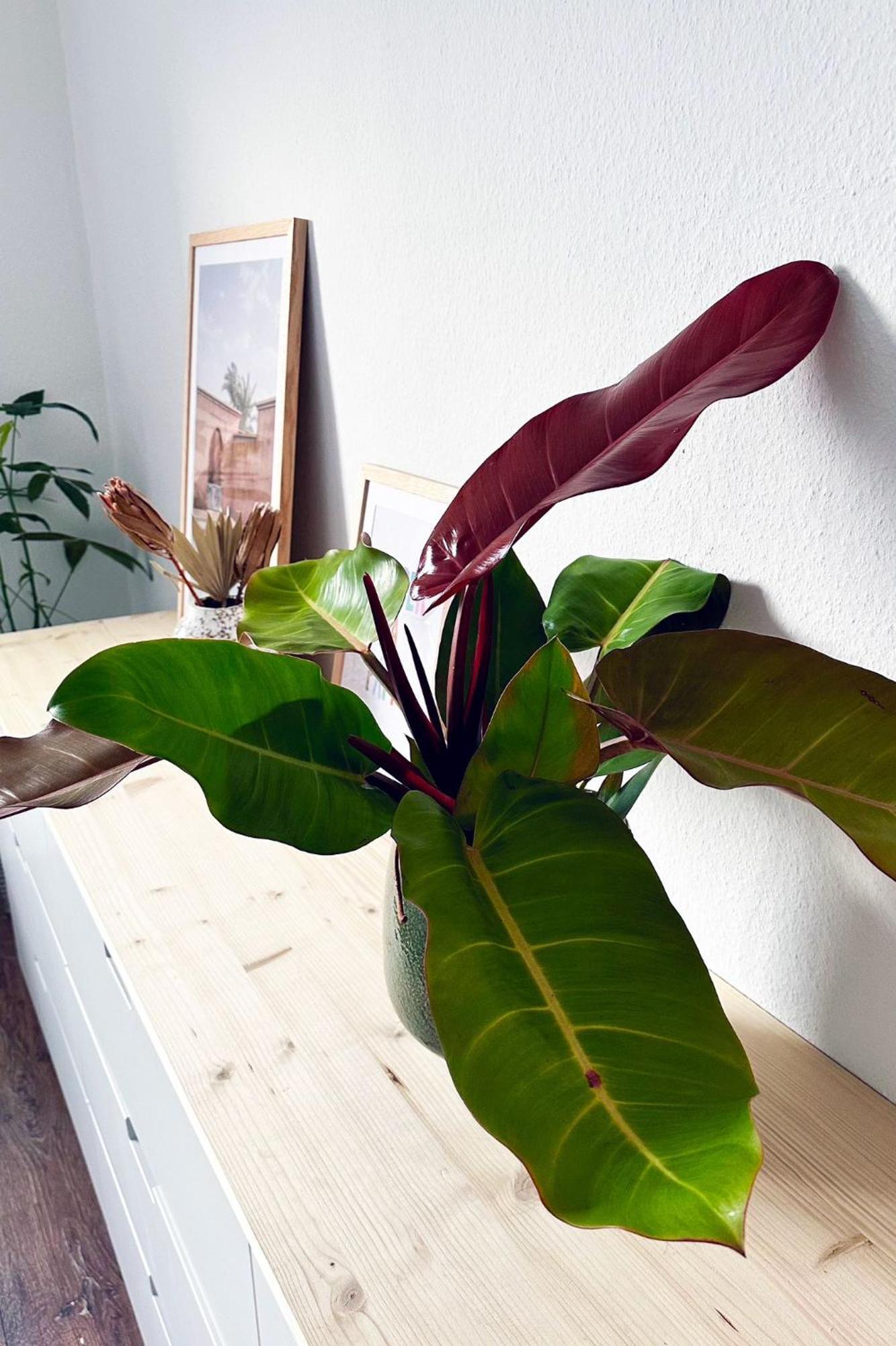Business & Leisure Apartment 잉골슈타트 외부 사진
