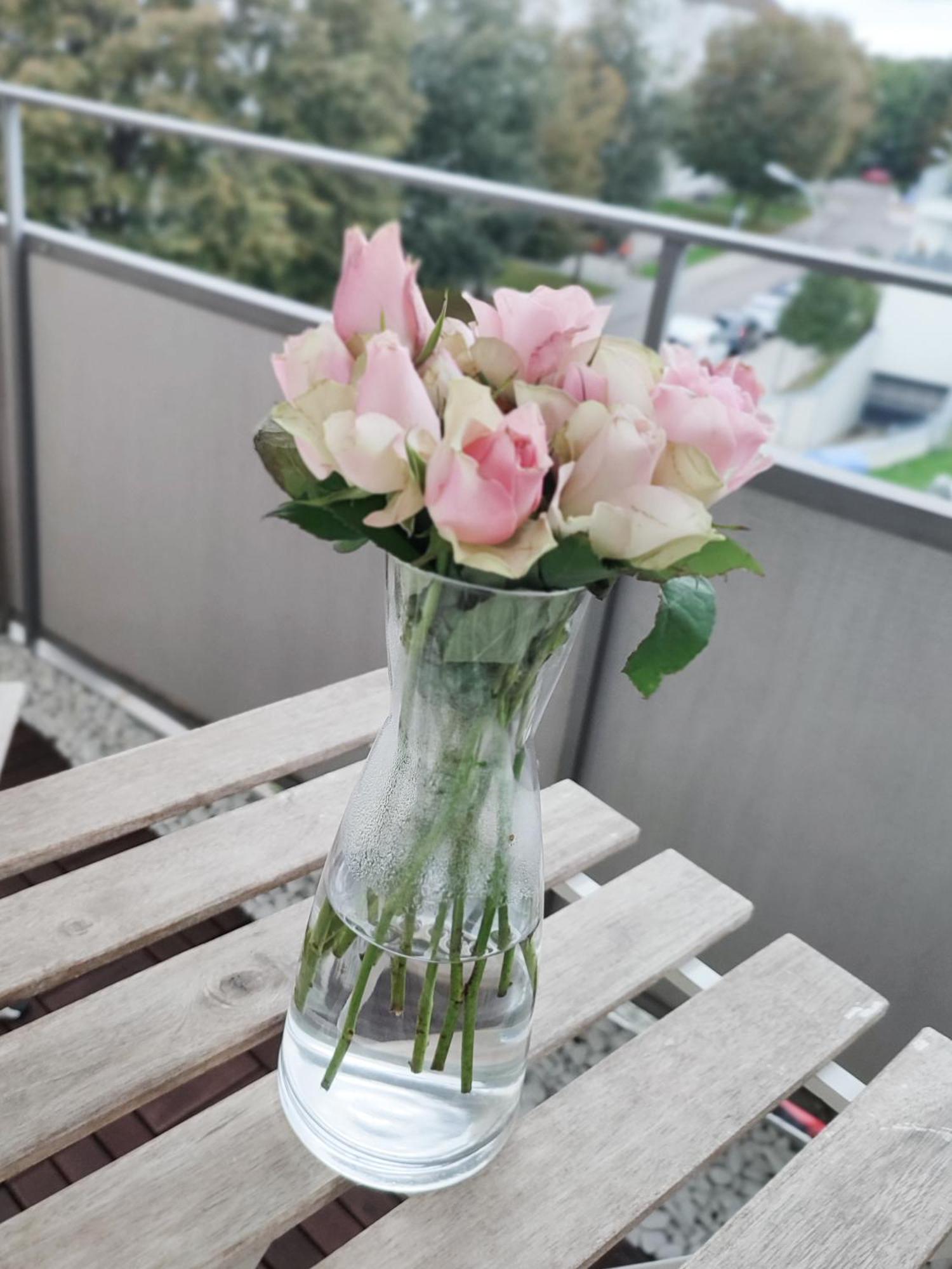 Business & Leisure Apartment 잉골슈타트 외부 사진
